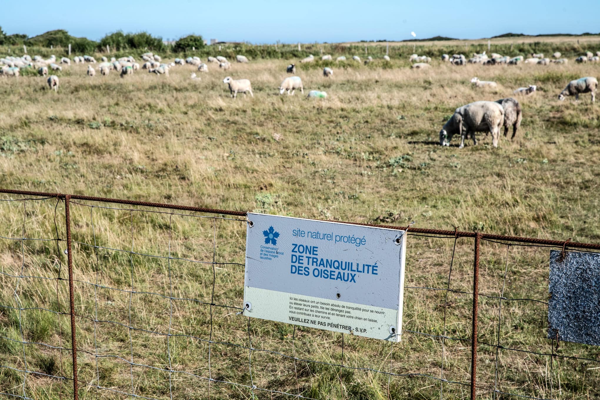 zone de tranquilité